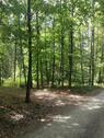 Foto - Grundstück in Schöllkrippen