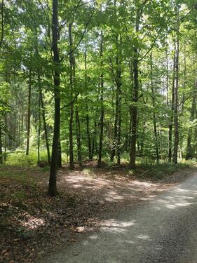 Foto - Grundstück in Schöllkrippen
