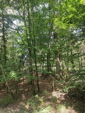 Foto - Grundstück in Schöllkrippen zur Miete