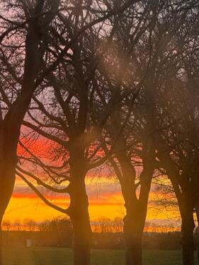 Foto - Haus mit Garage nach Sanierung 125m2