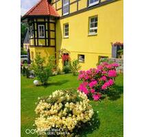Ferienwohnung in Stolberg Harz. Zwischen Brocken und Kyffhäuser. - Südharz
