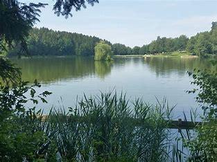 Foto - Freizeitgrundstück - See und Wald