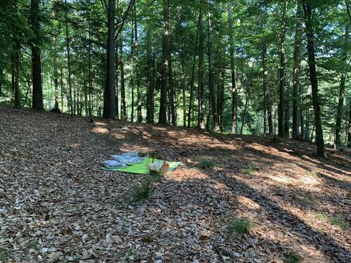 Foto - Grundst&uuml;ck in Eging am See