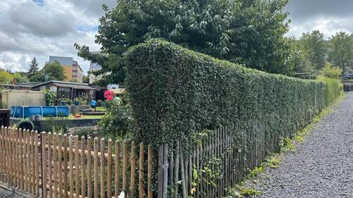 Foto - Grundst&uuml;ck in Gera