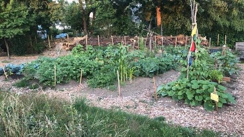 Foto - Grundst&uuml;ck in Siegen
