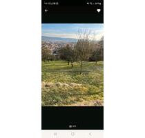 Stückle Obstbaumwiese Gartengrundstück - Schwäbisch Gmünd