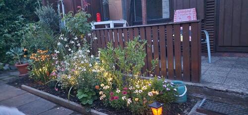 Foto - Grundst&uuml;ck in Greifswald zur Miete