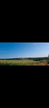 Foto - Einfamilienhaus in Eilsleben zum Kaufen