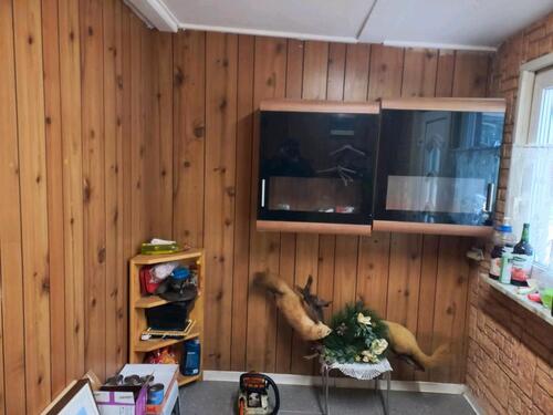 Foto - Einfamilienhaus in Brome zum Kaufen