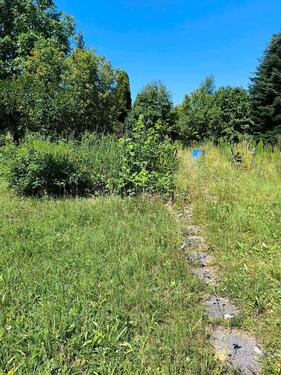 Foto - 4 Zimmer Einfamilienhaus in Schefflenz