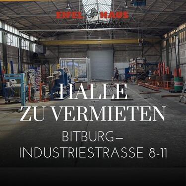Foto - Lager-Produktionshalle in zentraler Lage in Bitburg zu vermieten