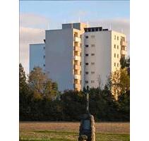 3,5 Zimmer m. Balkon❗️Erstbezug nach Komplettmodernisierung ❗️ - Eriskirch