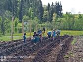 Foto - Fläche für Gemüseselbstversorger Garten zu verpachte