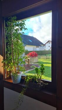 Foto - 4 Zimmer Etagenwohnung in Riedlingen