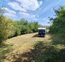 viel Platz für ihr Haus - 149.000,00&nbsp;EUR Kaufpreis, ca.&nbsp; 20,00&nbsp;m&sup2;&nbsp;Wohnfl&auml;che in Schefflenz (PLZ: 74850)