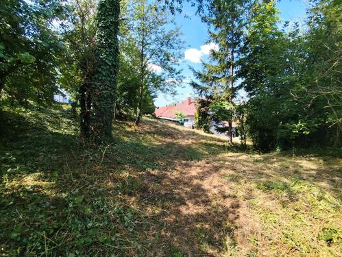 Foto - Einfamilienhaus zum Kaufen in Schefflenz