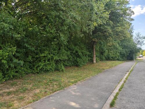 Foto - Einfamilienhaus in Schefflenz