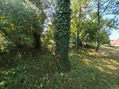 Foto - Einfamilienhaus mit 20,00 m&sup2; in Schefflenz zum Kaufen