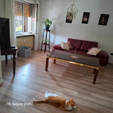 Foto - Wohnung für Monteure oder Kurzzeitmiete