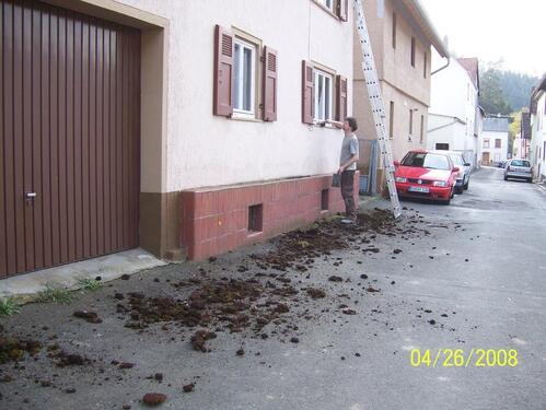 Foto - Haus Ergänzung ~ kleine Hofreite ~ 2008 ~ Katze noch im Sack