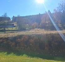 schöne 2 Zimmer Wohnung am See, in Herrischried