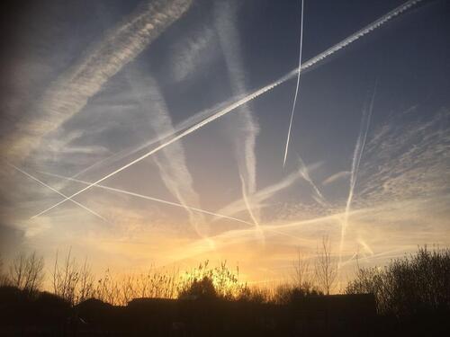 Foto - WohngemeinschaftFrauen-WG in ruhigem Speckgürtel von Wiedenbrück