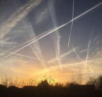 WohngemeinschaftFrauen-WG in ruhigem Speckgürtel von Wiedenbrück - Rheda-Wiedenbrück