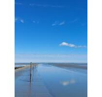 NeuharlingersielNordsee Kurzurlaub Ferienwohnung Fewo Last Minut - Willebadessen