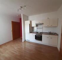 Schöne 2-Raumwohnung mit Einbauküche auf der idyllischen Elbinsel - Magdeburg Brückfeld