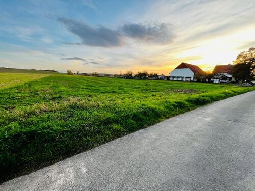 Foto - Baugrundstück mit Blick ins Grüne - Lütgenrode