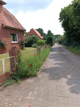 Foto - 6 Zimmer Einfamilienhaus in Haßbergen