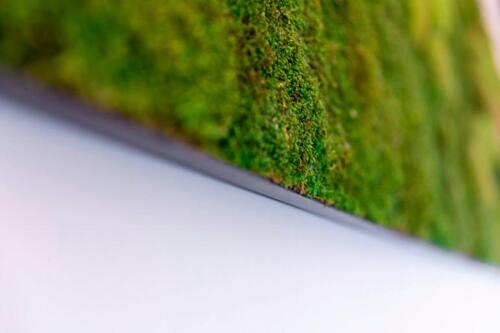 Foto - andere in München