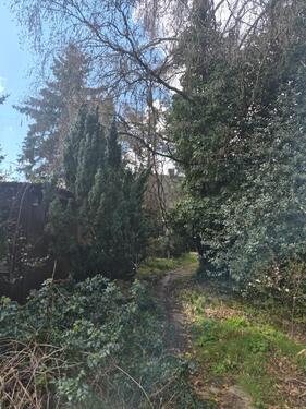 Foto - Doppelhaushälfte zum Kaufen in Nürnberg