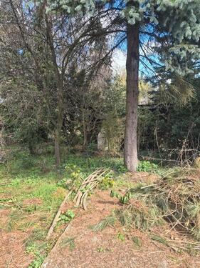 Foto - Doppelhaushälfte in Nürnberg zum Kaufen