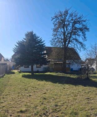 Foto - Einfamilienhaus in Garz/Rügen zum Kaufen