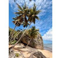 COSTA RICA Appartment 400m vom Pazifik langfristig zu vermieten ☎️ 01788577605 - Erfurt