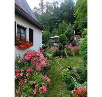 gepflegtes Einfamilienhaus mit Garten - autarke ALLEINLAGE - Greiz