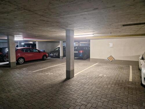 Foto - andere in Heidelberg