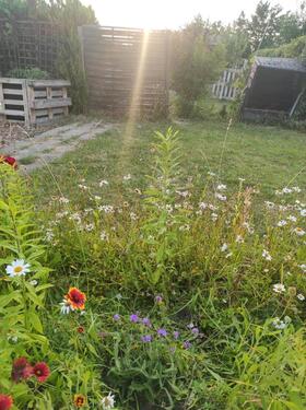 Foto - Grundst&uuml;ck in Halle (Saale)