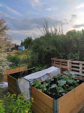 Foto - Grundst&uuml;ck in Halle (Saale) zur Miete