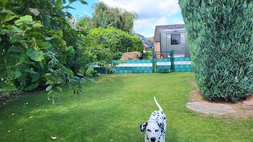 Foto - Einfamilienhaus in Sauensiek zum Kaufen