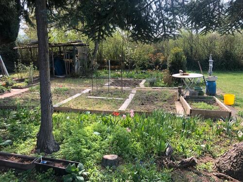 Foto - Grundst&uuml;ck in Karlsruhe zur Miete