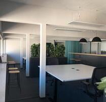 Zentraler Schreibtischplatz nahe Bärenplatz – All Inclusive, sofort verfügbar - Tettnang