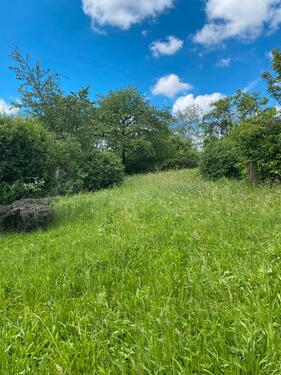 Foto - Grundst&uuml;ck zur Miete in Stuttgart