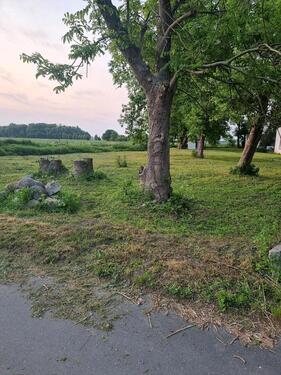 Foto - Grundst&uuml;ck zum Kaufen in Bergen auf Rügen
