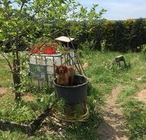 Haus mit Balkon & großem Garten im Wochendgebiet - Hohenahr