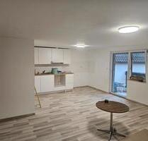 Frisch gestaltete Einzimmerwohnung in Marktsteinach - Schonungen Forst