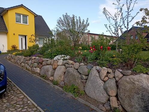 Foto - Ferienhaus Ostsee ❤️ Frühsommer bis 6 Personen