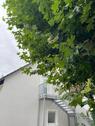Foto - 9 Mietwohnungen im kernsanierten Altbau - Niedrigenergiehaus