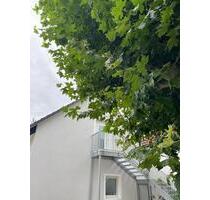 9 Mietwohnungen im kernsanierten Altbau - Niedrigenergiehaus - Riedstadt